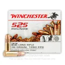 22 LR - 36 gr CPHP - Winchester - 525 Rounds