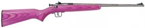 Crickett 226s .22lr Stainless, Pink Laminated