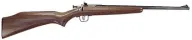 Crickett 300
