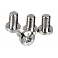 Strike 1911, Si 1911ts-ss 1911 Torx Screws