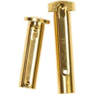 Iron City Ar15 Take Down Pins - Titanium C4v (gold)<