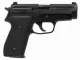 Palmetto State Armory
