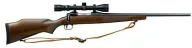 Savage Arms 10 10GPX3