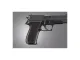 Palmetto State Armory