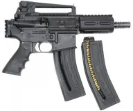 Chiappa Firearms M4-22 Pistol