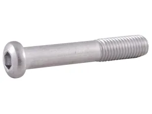 Savage Arms Action Screw (Rear) Savage Model 12 with Laminate Stock Hex Head Stainless Steel