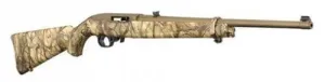 Ruger 10/22 Go Wild