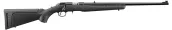 Ruger 10/22