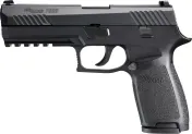 SIG Sauer P320 image