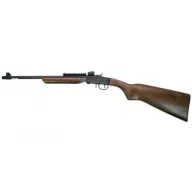 Chiappa Firearm Little Badger Delux