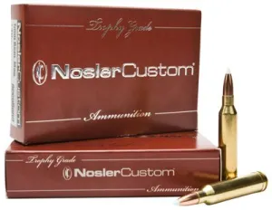 Nosler Trophy 300 Weatherby Magnum E-tip Lead-free 180 Gr 28