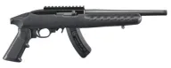 Ruger 22 Charger