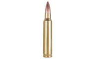 Armscor 223rem 55gr Fmj 20/1000