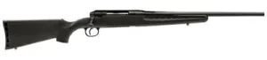 Savage Arms Axis 19061