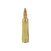 .204 Ruger