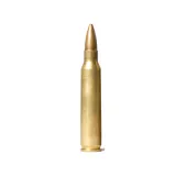 .223 Remington (5.56x45mm NATO)