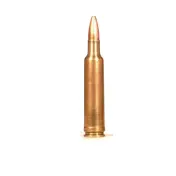 .224 Weatherby Magnum