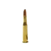 .243 Winchester