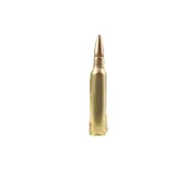 .25-35 Winchester