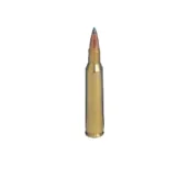 .250 Savage