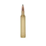 .257 Weatherby Magnum