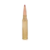 .25-06 Remington