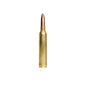 .25-06 Remington