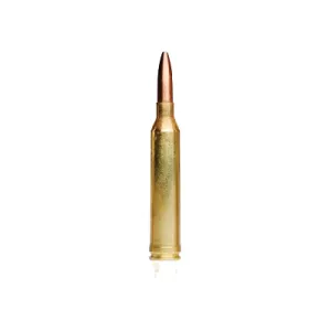 .264 Winchester Magnum