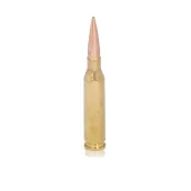 .270 Winchester Short Magnum