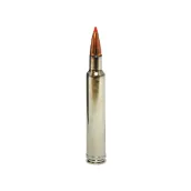 .300 Remington Ultra Magnum