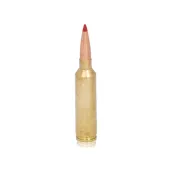 .300 Winchester Magnum