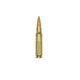 .308 Winchester (7.62mm NATO)