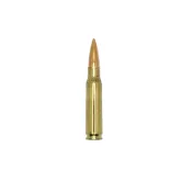 .308 Winchester (7.62mm NATO)