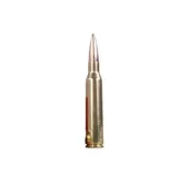 .300 Winchester Magnum