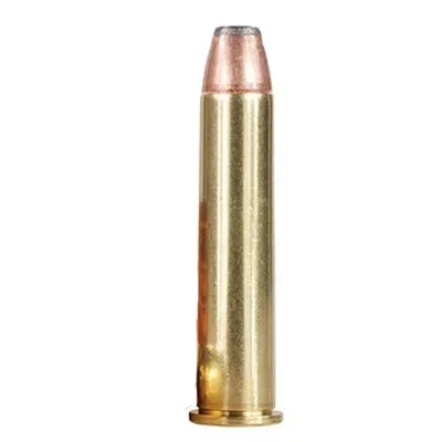 .45-70 Government