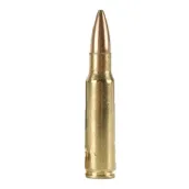.223 Remington (5.56x45mm NATO)