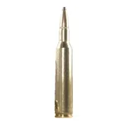 .243 Winchester