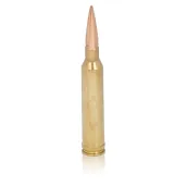 .308 Winchester (7.62mm NATO)