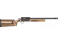 Crickett XBR