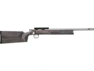 Crickett XBR KSA2198