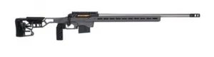 Savage Arms 110 Elite Precision