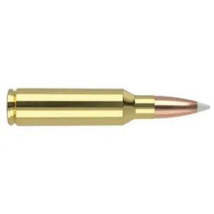 Nosler Trophy Grade 300 WSM 180 grain AccuBond Rifle Ammo, 20/Box - 60063