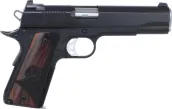 Dan Wesson Guardian
