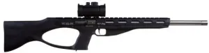 Excel Arms Accelerator MR-22
