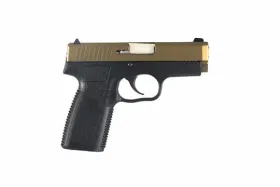 Kahr CW45