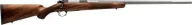 Kimber 84M Varmint