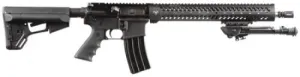 Doublestar Modern Designated Marksman