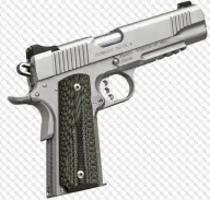 Kimber Stainless TLE/RL II