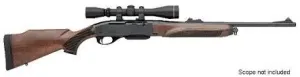 Remington 750 27059