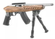 Ruger 22 Charger 4919